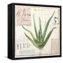 Aloe Vera…Sketchbook-Angela Staehling-Framed Stretched Canvas