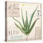 Aloe Vera…Sketchbook-Angela Staehling-Stretched Canvas