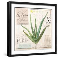 Aloe Vera…Sketchbook-Angela Staehling-Framed Art Print