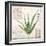 Aloe Vera…Sketchbook-Angela Staehling-Framed Art Print