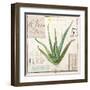 Aloe Vera…Sketchbook-Angela Staehling-Framed Art Print