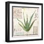 Aloe Vera…Sketchbook-Angela Staehling-Framed Art Print