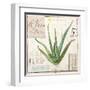 Aloe Vera…Sketchbook-Angela Staehling-Framed Art Print