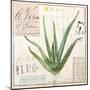 Aloe Vera…Sketchbook-Angela Staehling-Mounted Art Print