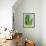 Aloe Vera-Kia Nu-Framed Photographic Print displayed on a wall