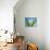 Aloe Vera-Christian Schuster-Photographic Print displayed on a wall