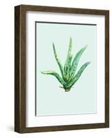 Aloe Vera-Heaven on 3rd-Framed Art Print