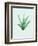 Aloe Vera-Heaven on 3rd-Framed Art Print