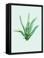 Aloe Vera-Heaven on 3rd-Framed Stretched Canvas