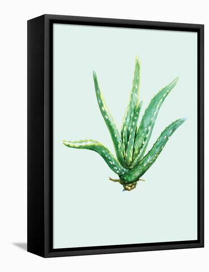 Aloe Vera-Heaven on 3rd-Framed Stretched Canvas