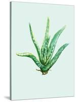 Aloe Vera-Heaven on 3rd-Stretched Canvas