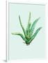 Aloe Vera-Heaven on 3rd-Framed Art Print