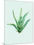 Aloe Vera-Heaven on 3rd-Mounted Art Print