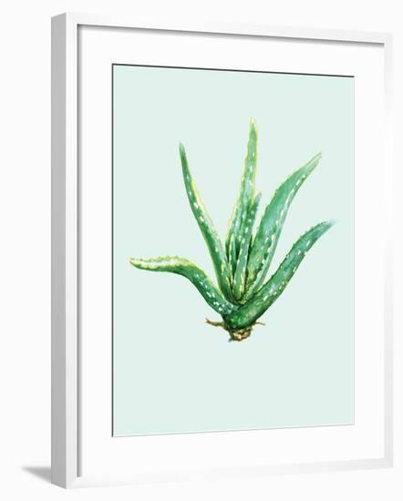 Aloe Vera-Heaven on 3rd-Framed Art Print