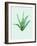 Aloe Vera-Heaven on 3rd-Framed Art Print