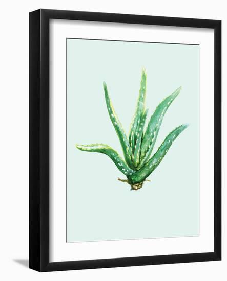 Aloe Vera-Heaven on 3rd-Framed Art Print