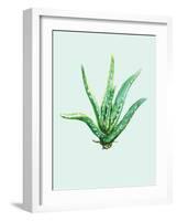 Aloe Vera-Heaven on 3rd-Framed Art Print