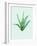 Aloe Vera-Heaven on 3rd-Framed Art Print