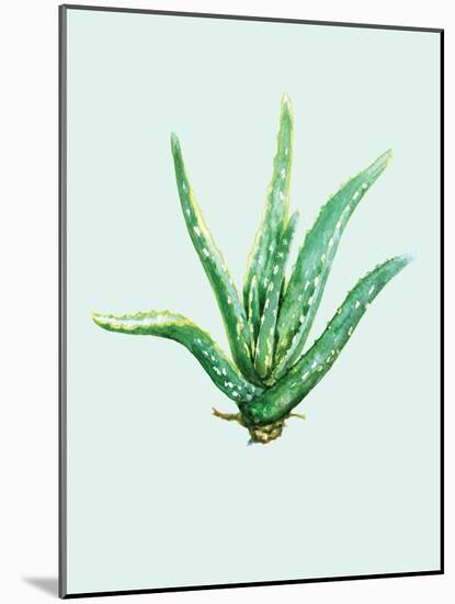 Aloe Vera-Heaven on 3rd-Mounted Art Print