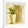 Aloe-Véronique Didier-Laurent-Framed Art Print