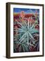 Aloe-Frances Ferdinands-Framed Giclee Print
