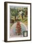 Aloes: Harvesting the Sap-null-Framed Giclee Print