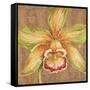 Aloha Beauty I-Judy Shelby-Framed Stretched Canvas