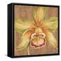 Aloha Beauty I-Judy Shelby-Framed Stretched Canvas