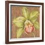 Aloha Beauty II-Judy Shelby-Framed Art Print