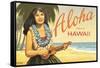 Aloha from Hawaii-Kerne Erickson-Framed Stretched Canvas