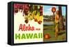 Aloha from Hawaii-null-Framed Stretched Canvas