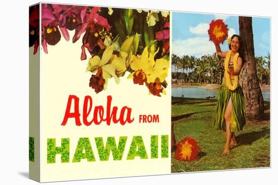 Aloha from Hawaii-null-Stretched Canvas