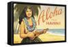 Aloha from Hawaii-Kerne Erickson-Framed Stretched Canvas