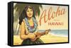 Aloha from Hawaii-Kerne Erickson-Framed Stretched Canvas