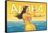 Aloha, Hawaii-Kerne Erickson-Framed Stretched Canvas