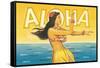 Aloha, Hawaii-Kerne Erickson-Framed Stretched Canvas