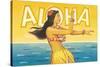 Aloha, Hawaii-Kerne Erickson-Stretched Canvas