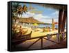 Aloha Hawaii-Kerne Erickson-Framed Stretched Canvas
