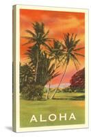 Aloha: Palm Trees-null-Stretched Canvas