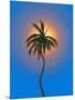 Aloha Tree-Thomas Deir-Mounted Poster