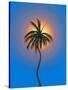 Aloha Tree-Thomas Deir-Stretched Canvas