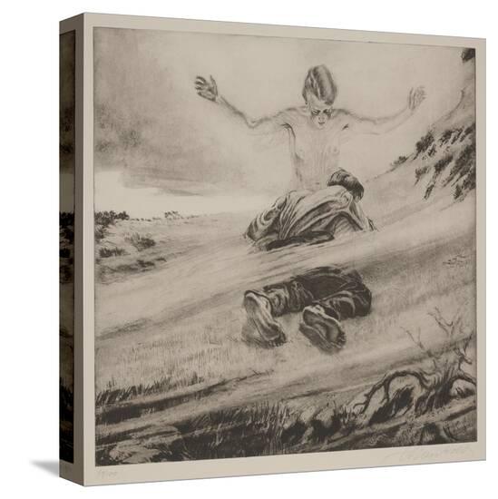 Stretched Canvas Print, , large