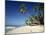 Alona Beach on the Island of Panglao Off the Coast of Bohol, in the Philippines, Southeast Asia-Robert Francis-Mounted Photographic Print