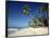 Alona Beach on the Island of Panglao Off the Coast of Bohol, in the Philippines, Southeast Asia-Robert Francis-Framed Photographic Print