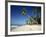 Alona Beach on the Island of Panglao Off the Coast of Bohol, in the Philippines, Southeast Asia-Robert Francis-Framed Photographic Print