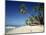 Alona Beach on the Island of Panglao Off the Coast of Bohol, in the Philippines, Southeast Asia-Robert Francis-Mounted Photographic Print