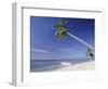 Alona Beach, Panglao Island, off Coast of Bohol, Philippines, Southeast Asia-Robert Francis-Framed Photographic Print