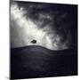 Alone Again-Luis Beltran-Mounted Premium Photographic Print