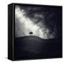 Alone Again-Luis Beltran-Framed Stretched Canvas