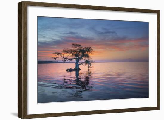 Alone at Sunrise-Moises Levy-Framed Photographic Print